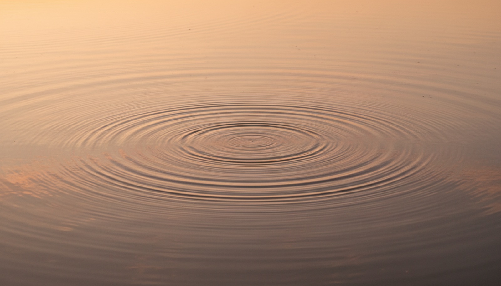 Concentric ripples expanding on still water β a natural image of waves traveling outward